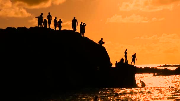 Barn Hoppar Vattnet Solnedgången Waimea Beach Hawaii — Stockvideo