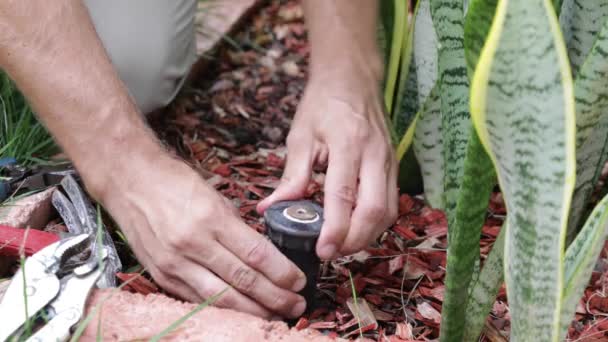 뜰에서 스프링클러 헤드고치고 Grass Field Sprinklers Installation Professional Caucasian Garden — 비디오