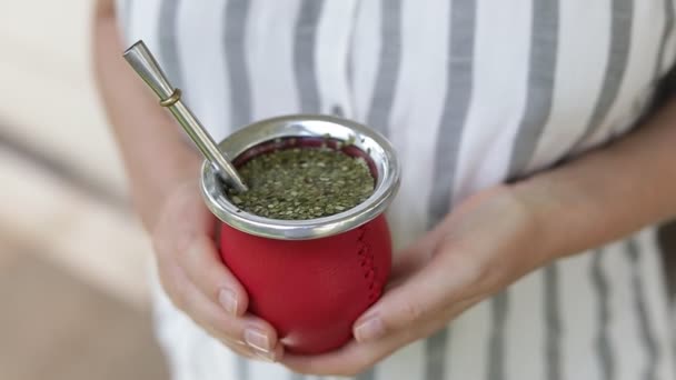 Girl Hands Holding Calabash Hot Yerba Mate Tea Mate Traditional — Stock Video