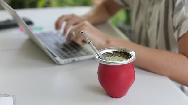 在笔记本电脑上工作和在家里喝茶的女人 女性的手在笔记本电脑上打字 喝着热的耶尔巴茶 慢动作 — 图库视频影像