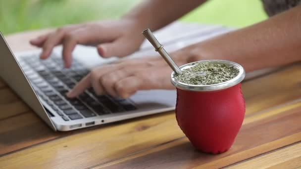 Mujer Trabajando Portátil Bebiendo Yerba Mate Oficina Del Hogar Manos — Vídeo de stock