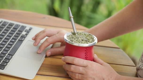 Mujer Trabajando Portátil Bebiendo Yerba Mate Oficina Del Hogar Manos — Vídeo de stock