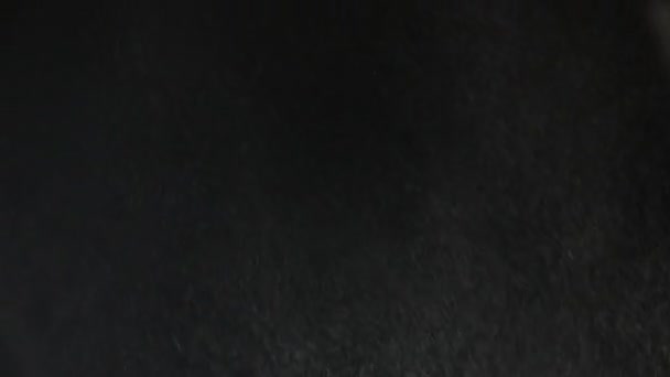 Wit Poeder Explodeert Geïsoleerd Zwarte Achtergrond Langzame Beweging Spuitende Stofwolk — Stockvideo