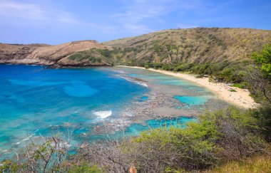 Eski bir volkanik krater olan Oahu Hawaii 'deki Hanauma Körfezi' ndeki mercan kayalıklarında şnorkelle yüzmek.