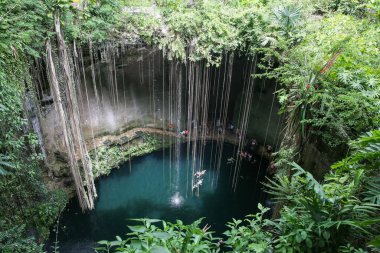 Ik-Kil Cenote Chichen Itza, Meksika yakınlarında. Şeffaf suları ve sallanan kökleri olan güzel bir mezarlık.