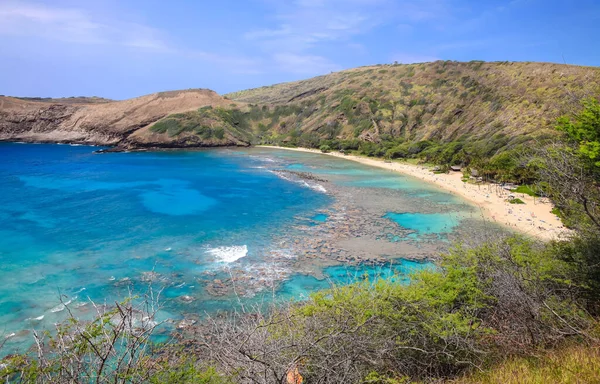 Eski bir volkanik krater olan Oahu Hawaii 'deki Hanauma Körfezi' ndeki mercan kayalıklarında şnorkelle yüzmek.