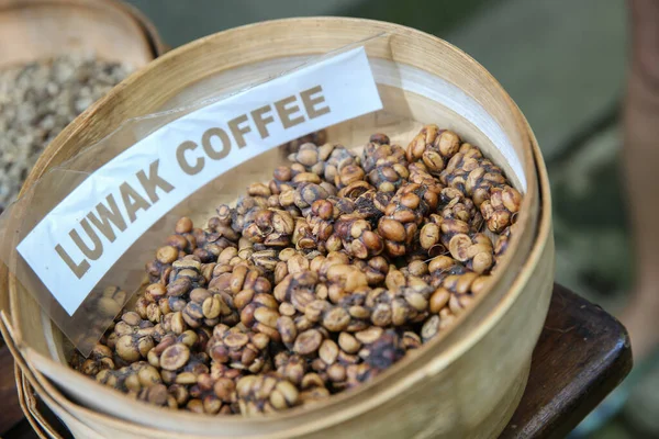 Famous Coffee Kopi Luwak Bali Procedure Make Luwak Coffee — Stock Photo, Image