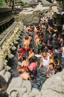 BALI, İNDONEZYA - 16 Nisan 2016: Kutsal kaynak suyu. Tirta Boş Tapınağı 'nda dua eden insanlar. Bali, Endonezya.