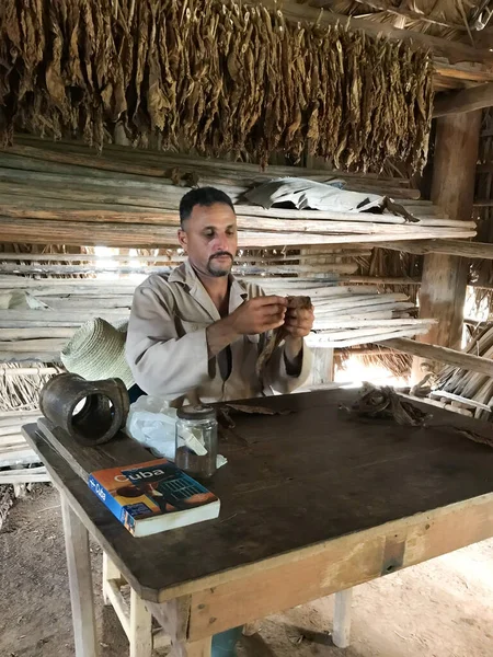 Vinales Valley Cuba Fevereiro 2019 Homem Cubano Trabalhando Uma Fábrica — Fotografia de Stock