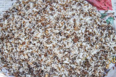 tayland yerel pazarda satılan karınca yumurta