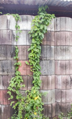 rustik çimento tüp