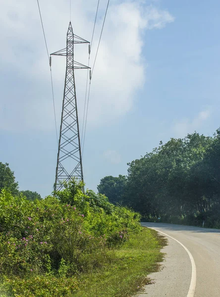 Yerel Yol Yakınında Elektrik Direği — Stok fotoğraf