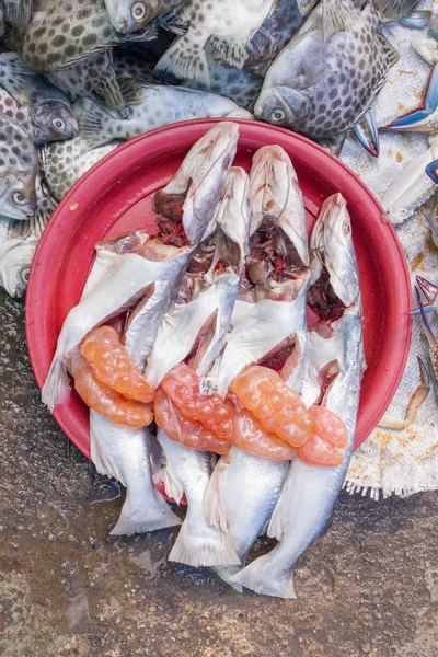 Pescado Fresco Con Huevos Vendidos Mercado Tailandés —  Fotos de Stock