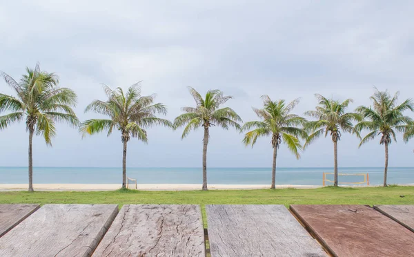 Una Fila Palme Cocco Sulla Spiaggia — Foto Stock