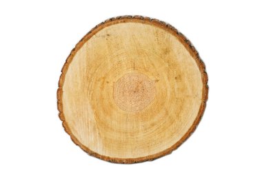 Ağaç kabuğuyla doğal bir ağaç kestim. Genç bir ağacın kütüğü, üst manzara. İzole edilmiş