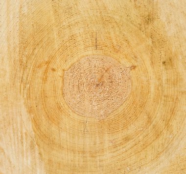 Çekirdekli doğal hafif ahşap dokusu..