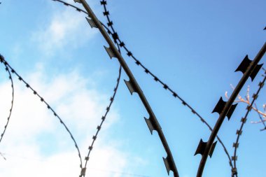 Mavi gökyüzüne karşı dikenli tel