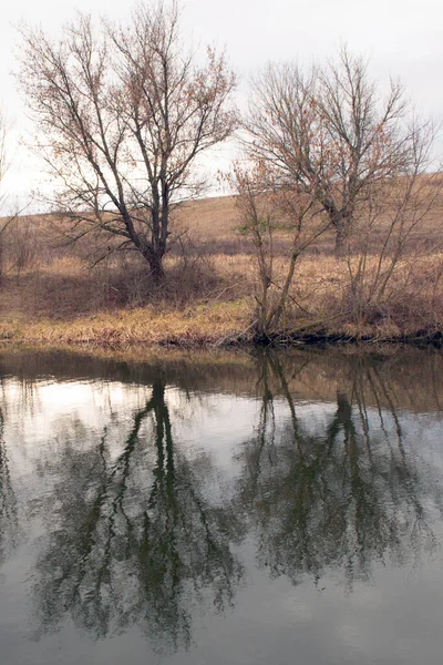 Twee Herfstbomen Met Reflectie Het Water — Stockfoto