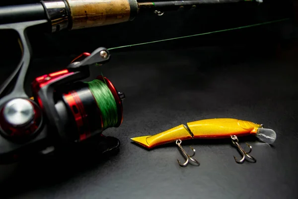 Carrete Pesca Cebo Para Peces Sobre Fondo Negro — Foto de Stock