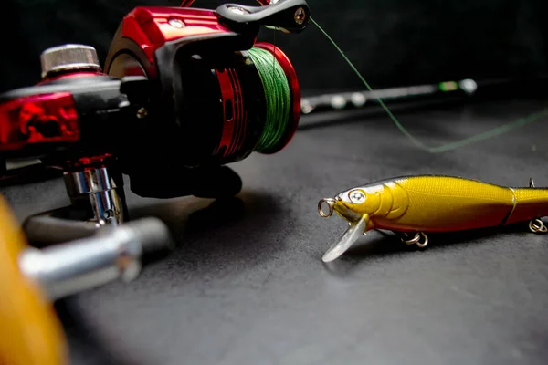 Peixe Isca Vara Pesca Fundo Preto — Fotografia de Stock