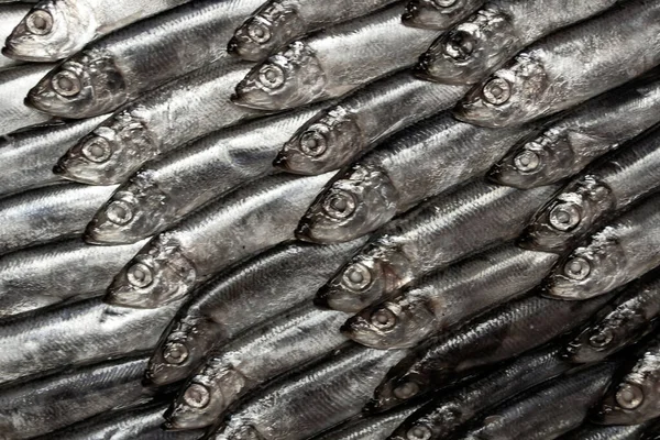 Hintergrund Der Kleinen Fische Auf Schwarzem Hintergrund — Stockfoto