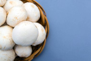 Hasır tabakta bir sürü porcini mantarı var. Mavi arkaplan