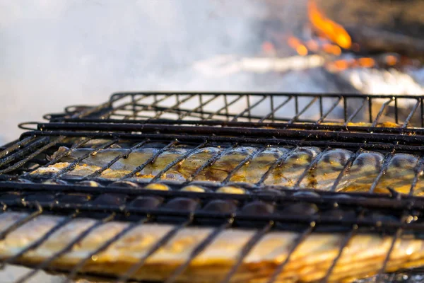 Pescado Caballa Horno Fuego Malla Parrilla —  Fotos de Stock