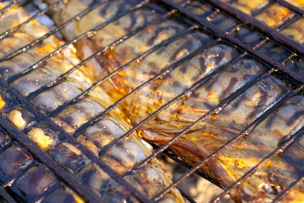 Pescado Caballa Horno Fuego Malla Parrilla —  Fotos de Stock