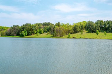 Manzara. Nehir, yeşil çayır ve mavi gökyüzü.
