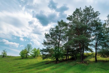 Manzara. Yeşil çayır, ağaçlar ve mavi gökyüzü.