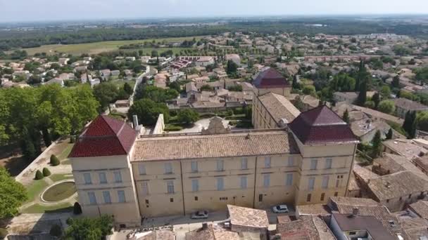 Castries Kasteel Het Zuiden Van Frankrijk Luchtpark Bomen Luchtfoto — Stockvideo