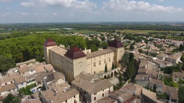 Drone Voando Direção Castries Castelo Sul Parque Aéreo França Árvores — Vídeo de Stock