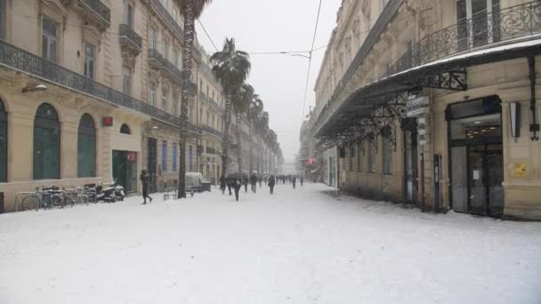 Rua Com Palmeiras Cobertas Neve Montpellier Rue Republique Dia Nevado — Vídeo de Stock