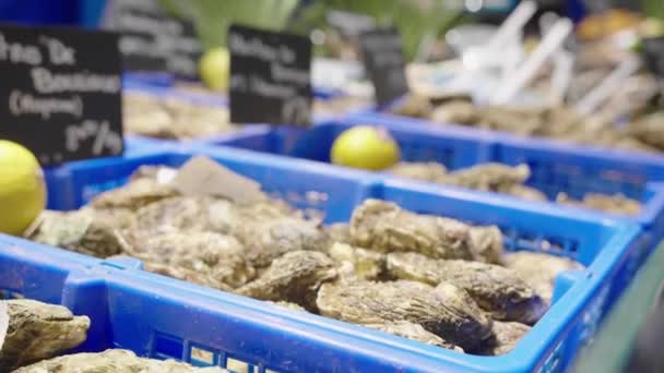 Fresh Oysters Arrangement Market France Montpellier — 图库视频影像
