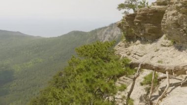 panning shot green mountains highland scenery coniferous wood hill chain crests steep cliff pine trees slant landscape mount forest wild nature habitat panoramic view tourism concept