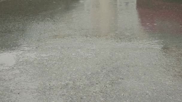 Gotas Chuva Estão Pingando Sobre Pés Asfalto Molhados Caminhar Estrada — Vídeo de Stock