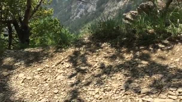 Pernas Turísticas Pisando Caminho Floresta Enquanto Caminhando Caminhante Montanha Andando — Vídeo de Stock