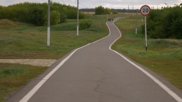 Winding Long Path Way Country Landscape — Stok video