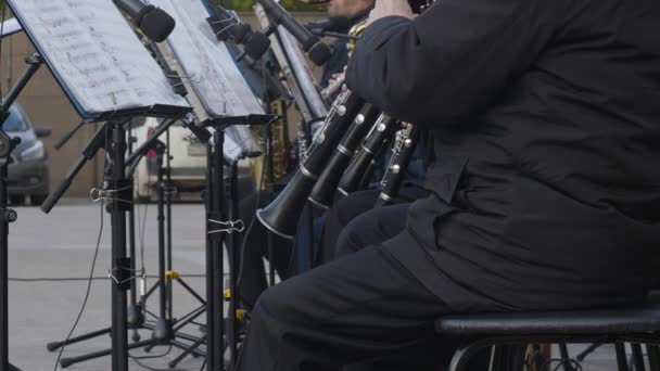 Musikband Som Spelar Oboe Utomhus Manlig Musiker Spela Musik Blåsinstrument — Stockvideo