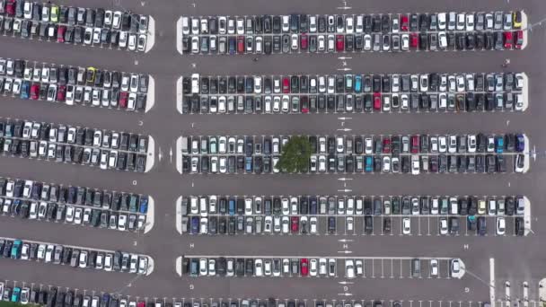 Vue Aérienne Haut Vers Bas Parking Avec Arbre Plein Voitures — Video