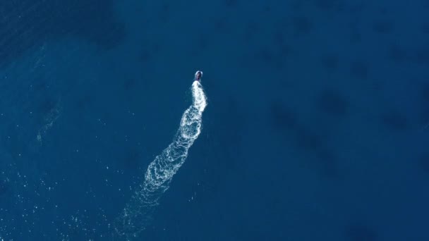 Aerial Top Shot Jet Ski Mediterranean Sea France Blue Water — ストック動画