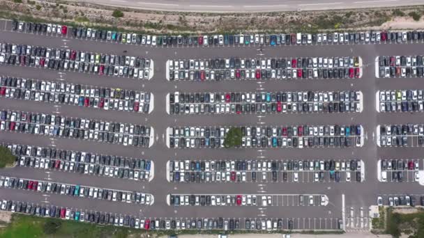 Large Aerial Top View Parking Lot Full Cars Tree Middle — 비디오