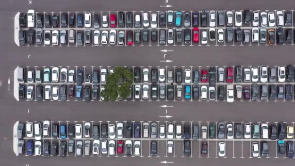 停在停车场中央的一棵树上 满载着汽车 法国航空无人机垂直瞄准镜 — 图库视频影像