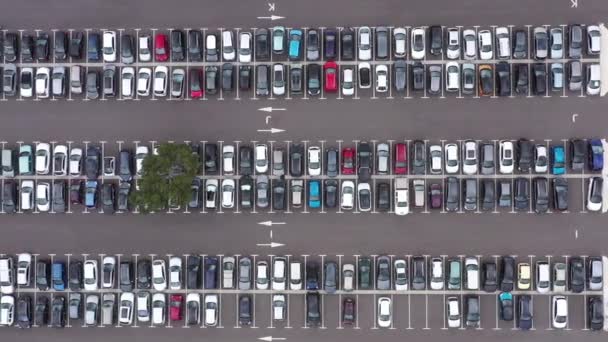 Destra Sinistra Aerea Che Viaggia Auto Parcheggiate Parcheggio Con Albero — Video Stock