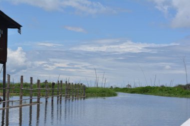Güney Asya 'daki tarlada çiftçiler
