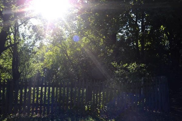 Recinzione Legno Nel Giardino Campagna Nella Giornata Sole — Foto Stock