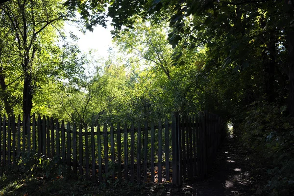 Recinzione Legno Nel Giardino Campagna Nella Giornata Sole — Foto Stock