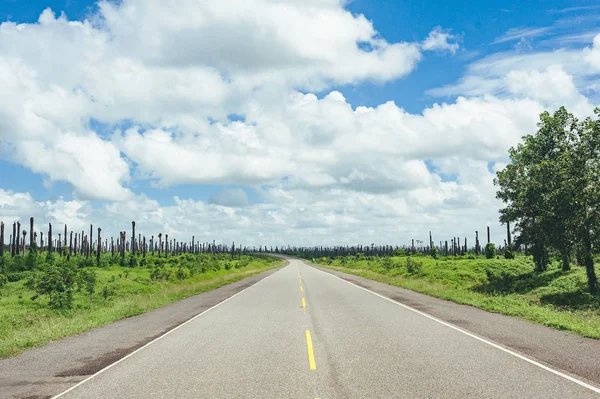 Road Crossing Forest Hills Cloudy Sky Background — Stock Photo, Image