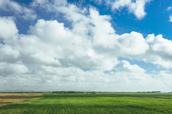 Grönt Fält Med Vita Fluffiga Moln Blå Sommarhimmel — Stockfoto