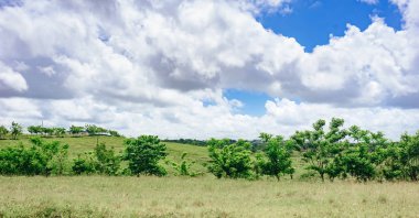Mavi gökyüzü ve çayırlı güzel bulut.